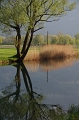 Biketour Chapfensee Vermol Alp Gamidaur 1679m 16_04_2011 (3)